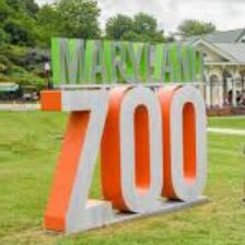 Zoo-perb Adventure item