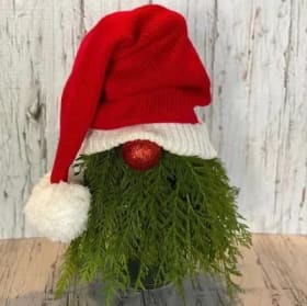 Red & White Gnome item