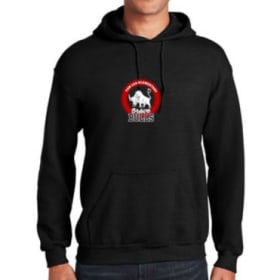 Adult Hoodie item
