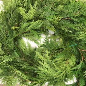 Cedar Garland 15' item