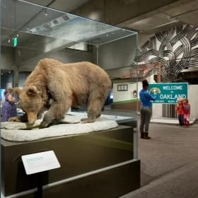 One-Year Dual Membership to the Oakland Museum of California item