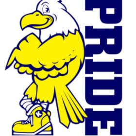 Adult Grey/Blue Hoodie PRIDE item