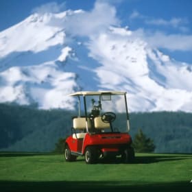 Golf Lessons and More! item