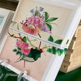 Notecard pack - Botanical item