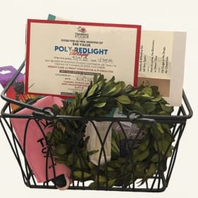 Tanning Studios Basket item