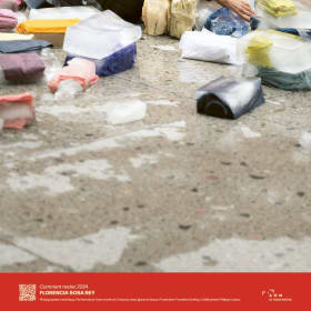 Affiche Florencia Sosa Rey item