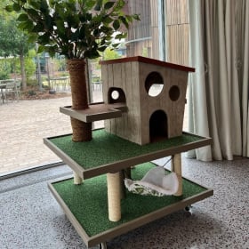 Meow-gic Treehouse by Moseley item