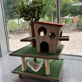 Meow-gic Treehouse by Moseley item