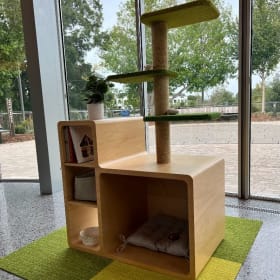 The Purrch Tree by O'Brien Atkins + SKANSKA item
