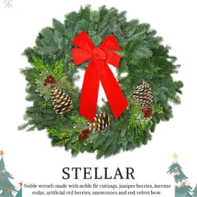 Stellar Noble Wreath w/ Bow 24" item