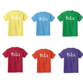 Short Sleeve T-Shirt (Choose Color) item