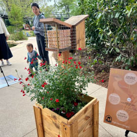 POLLINEIGHBORS by TightLines Designs item