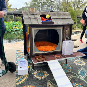 The Barky Bunch by R/DA Architects, P.A. item