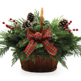 SHIPPED: Bark Basket item