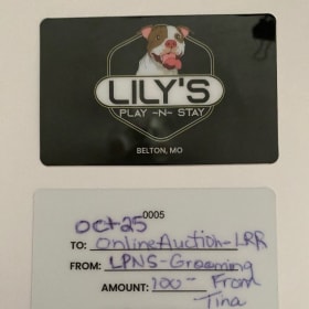 $100 in Dog Grooming by Tina at Lily’s Play-N-Stay! item
