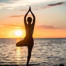Health and Wellness Bundle item