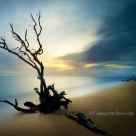 Carollyne Sinclaire large Framed Photograph 34X28 item