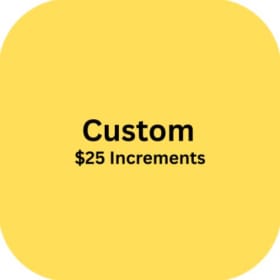 $25 Partial Payment item