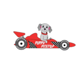 Puppy Pitstop Basket item