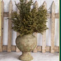 🌲 Spruce Tops – Bundle of 10 🌲 item