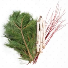 🪴 Holiday Porch Pot Kit 🪴 item