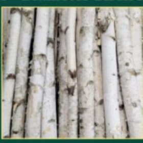 🌳 Birch Pole – 2ft Length, 1" Width 🌳 item