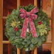 22” Mixed Evergreen Gift Wreath (W4M)- Direct Delivery item