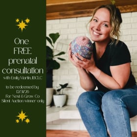 Postpartum Consultation with IBCLC (Copy) item