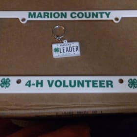 License Plate Frame item