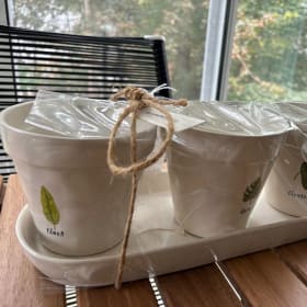 Decorative Plant Pots item