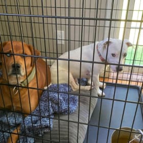 Oversized Crate Sponsor item