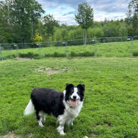 Fenced Pen Panel item