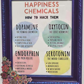 Happiness Chemicals item