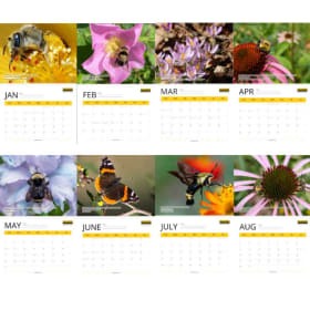 2026 Calendar PRE-SALE item