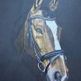 "Majesty" horse portrait by a Renowned California Artist item