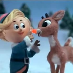 December 7 @ 2PM - Silver Springs State Park item