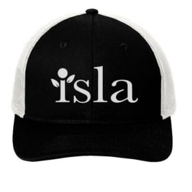 Trucker Hats (Choose Color) item