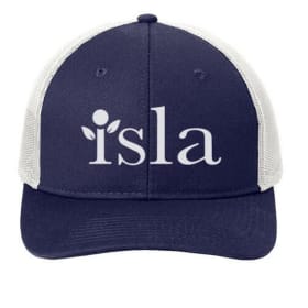 Trucker Hats (Choose Color) item