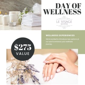 Day of Wellness at Le Visage Spa & Wellness item