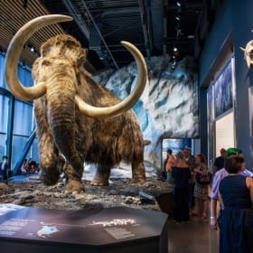 Discover Minnesota's Wonders at the Bell Museum! item
