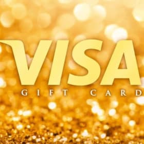 $200 Visa Gift Card item