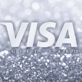 $100 Visa Gift Card item