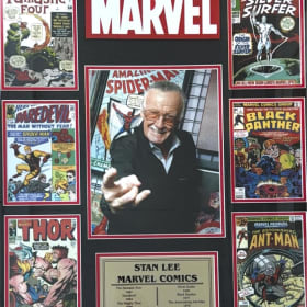 Stan Lee Marvel Collage item