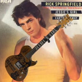 Rick Springfield Autograph Schecter Guitar (Jesse's Girl) item