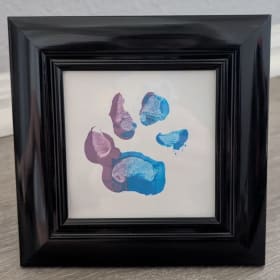 Hyena Footprint item