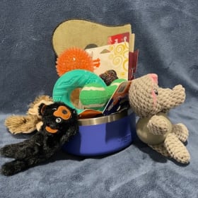 YETI DOG BOWL WITH TOYS! item