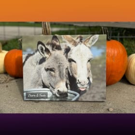 Zaara & Tavie 14 x 11 Canvas item