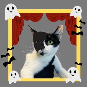 Phantom of the Litterbox (Carly) item