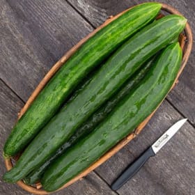 Photo of Tasty Green Cucumber