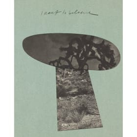 Ariel Aberg-Riger item